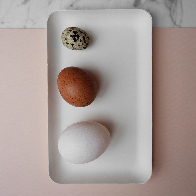 Disposable Plate Bagastro Rectangular